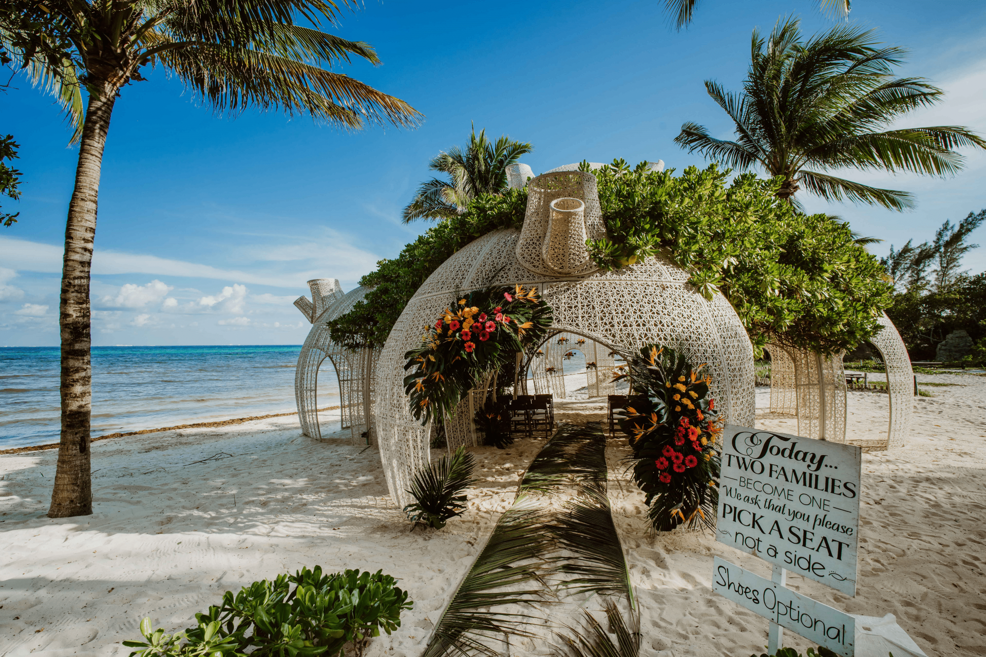 The Wedding Website of Shandale McGee and Erik Nygaard
