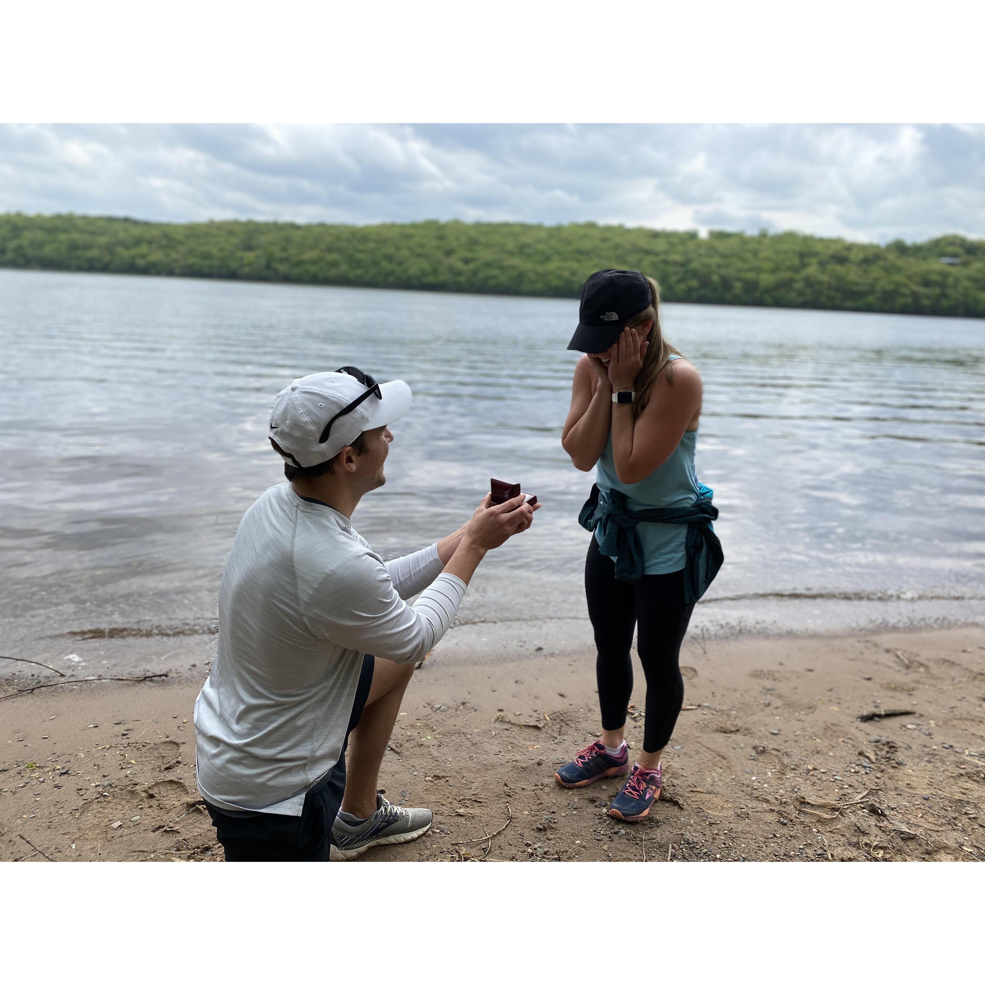 The proposal at Afton State Park.