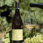 Podere Còncori