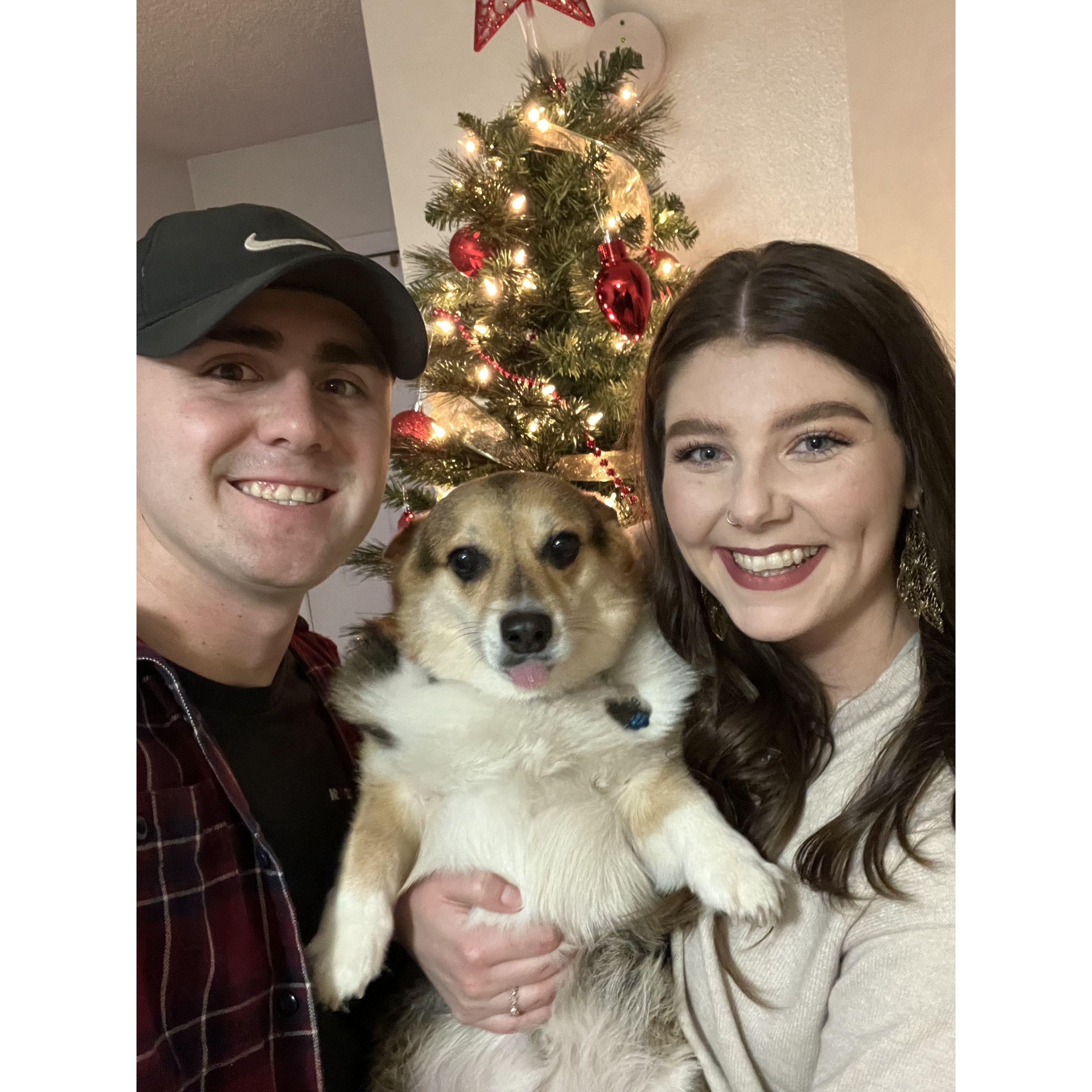 First Christmas in our own apartment.