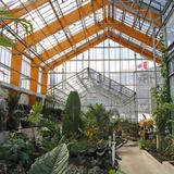 Gage Park Tropical Greenhouse