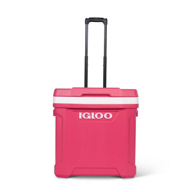 Igloo Latitude 60qt Roller Cooler - Watermelon