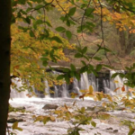 Ridley Creek State Park