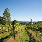 Wineries