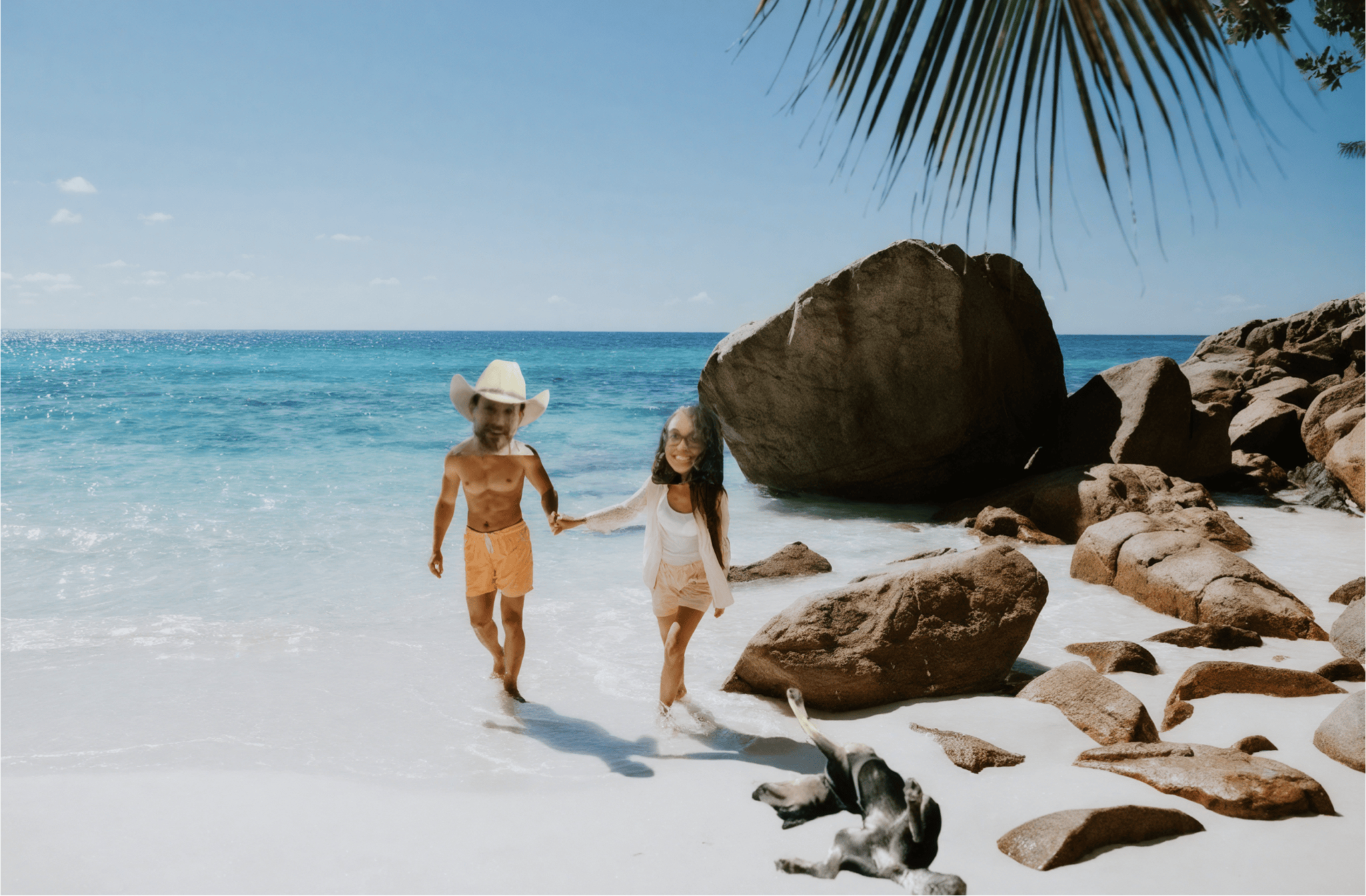 2763d304-dd99-4525-8395-452c33a3598b