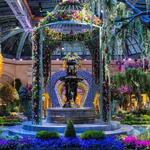 Fountains of Bellagio & Conservatory