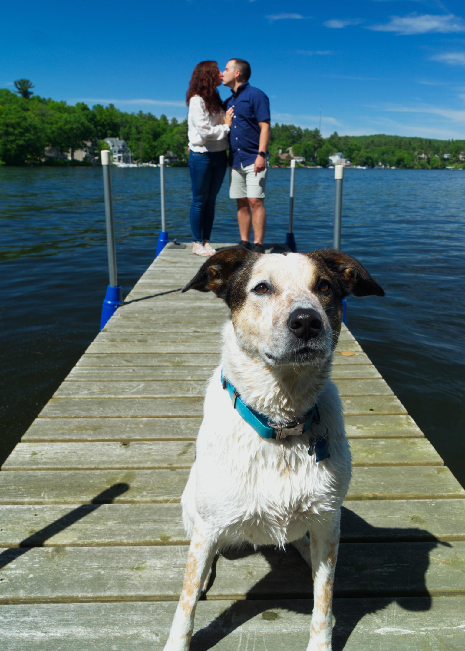 The Wedding Website of Maria Luongo and Jacob Lessard