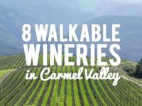 Carmel Valley Wine Experience