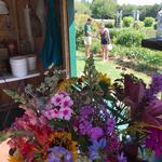 Omena Cut Flowers U-Pick