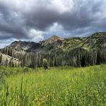 Take a Hike