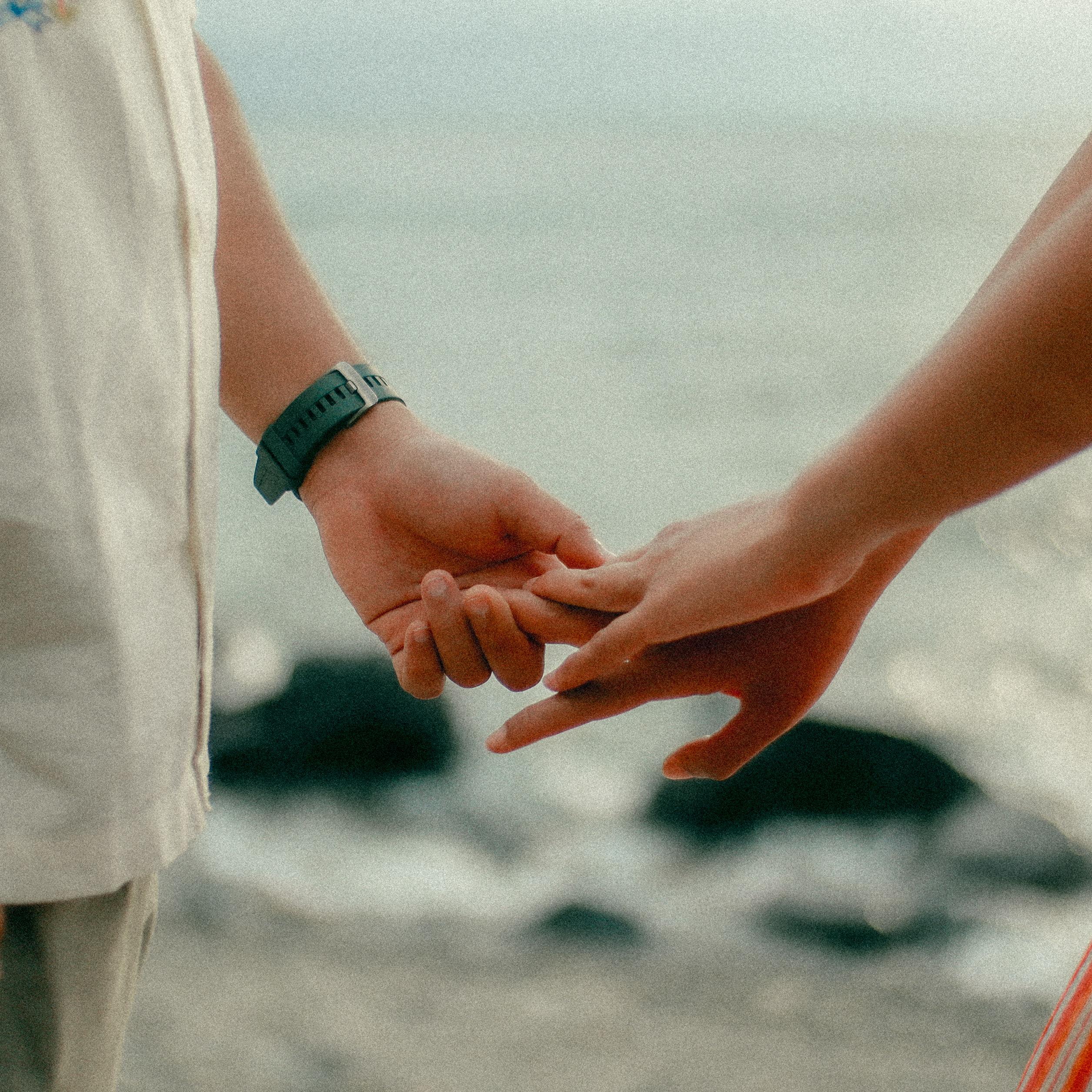 Hero Slideshow Image 3