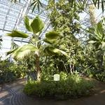 Frederik Meijer Gardens