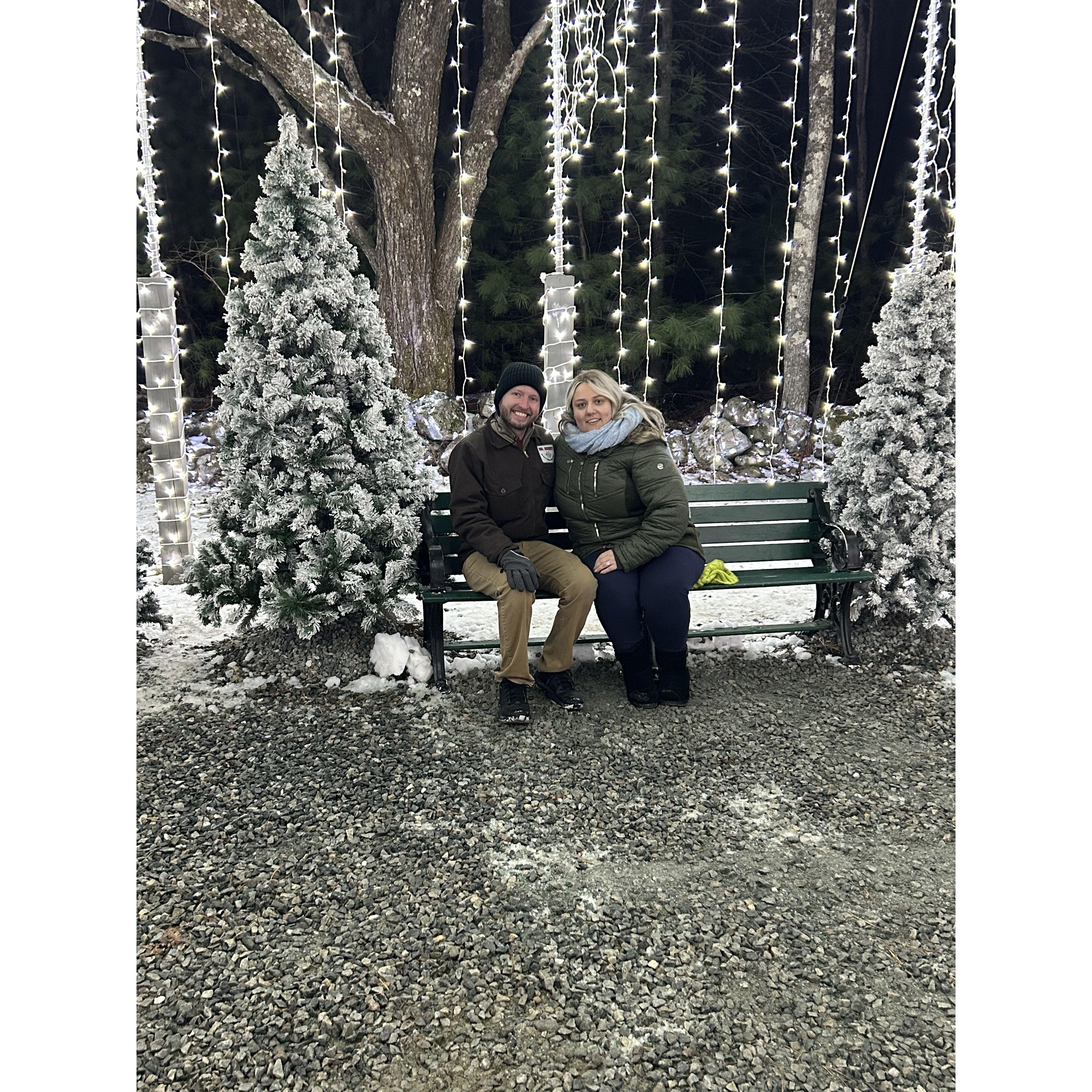Christmas Lights!