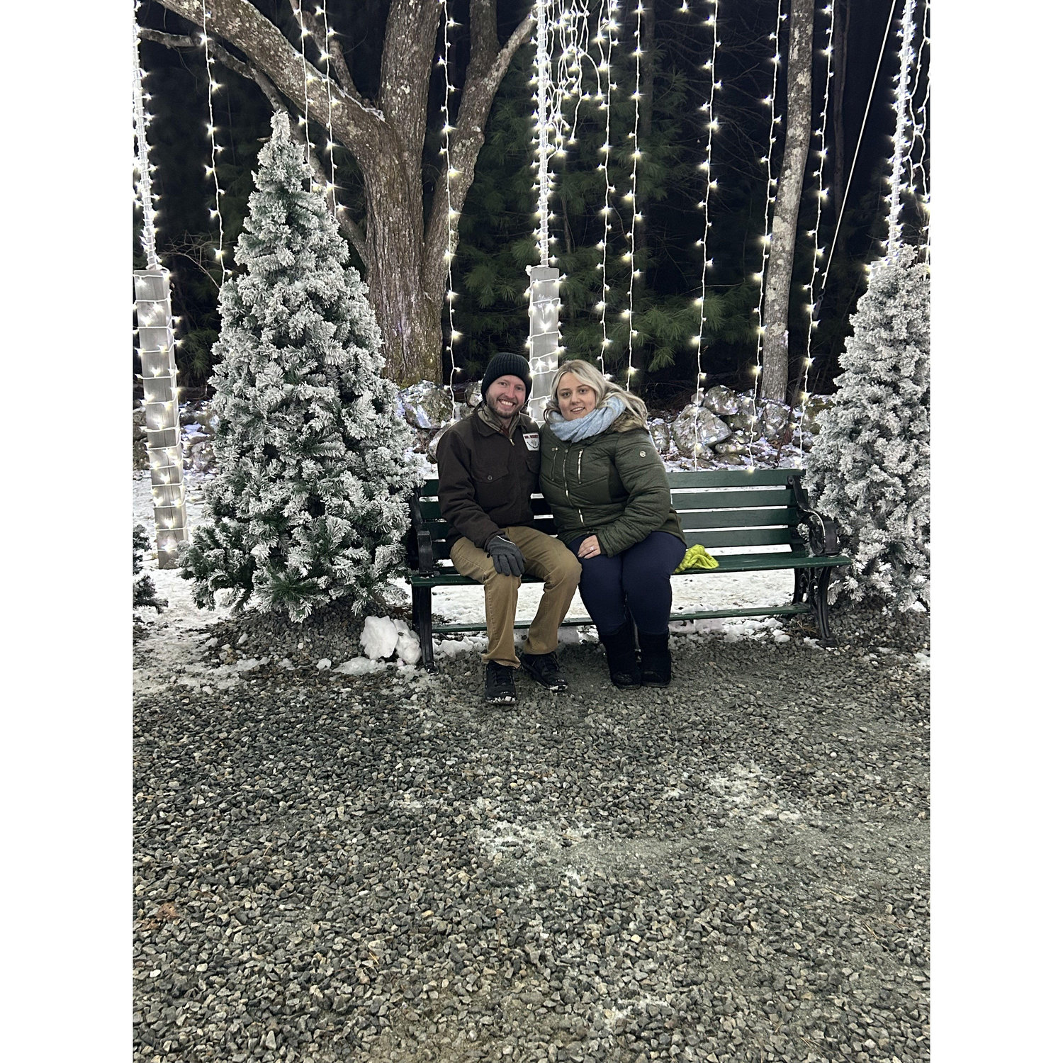 Christmas Lights!