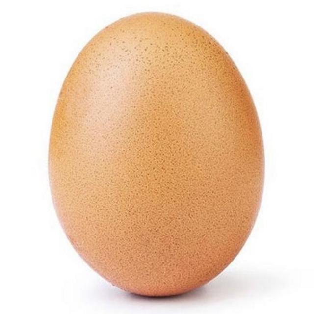 Nest egg fund