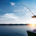 Lets go fishing !