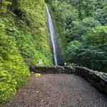 Mānoa Falls Trail