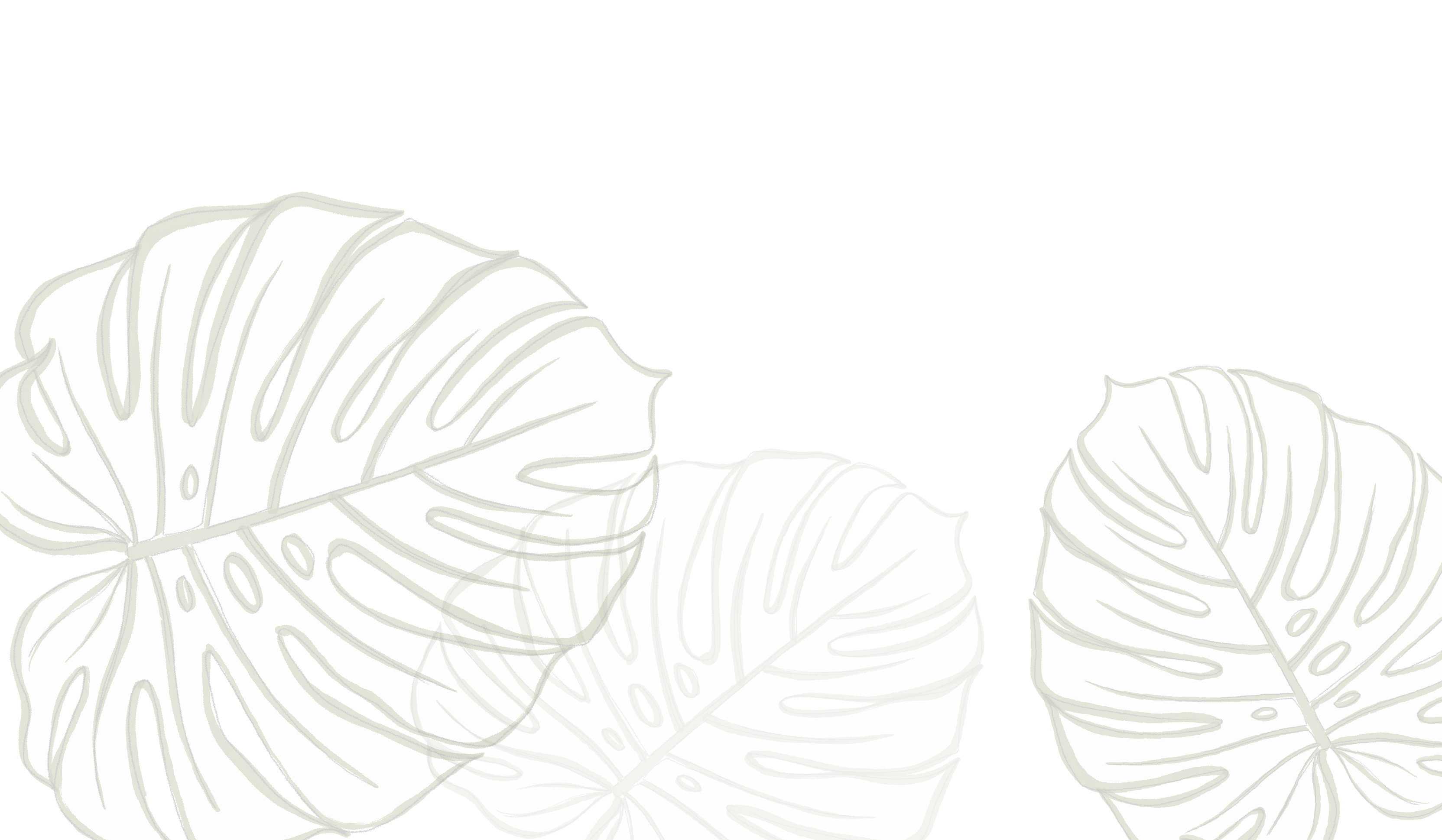 Footer image