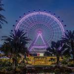The Wheel at ICON Park™
