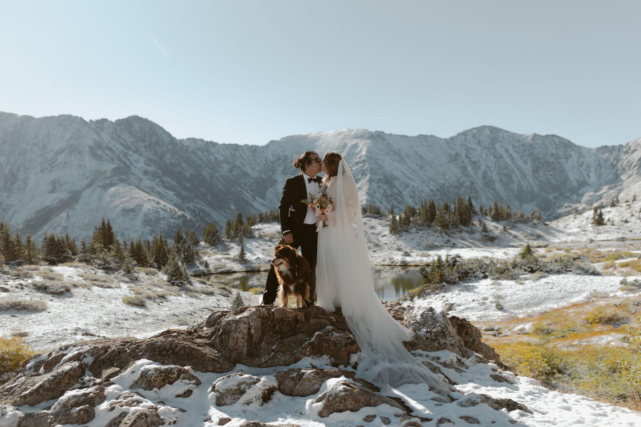 277bf5bb-f6e9-4725-91a4-d154772dd89b