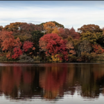 Massapequa Preserve