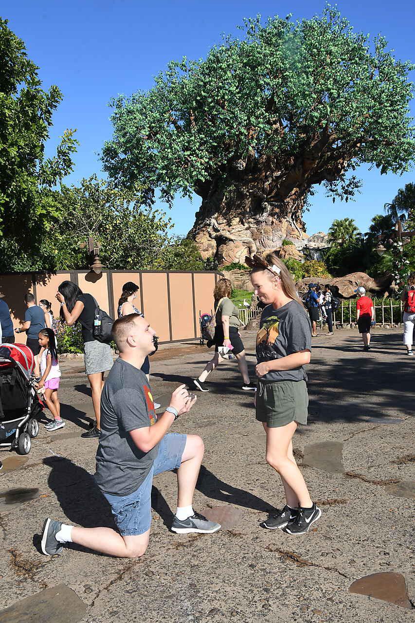 Engaged at Disney’s Animal Kingdom