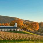 Barboursville Vineyards