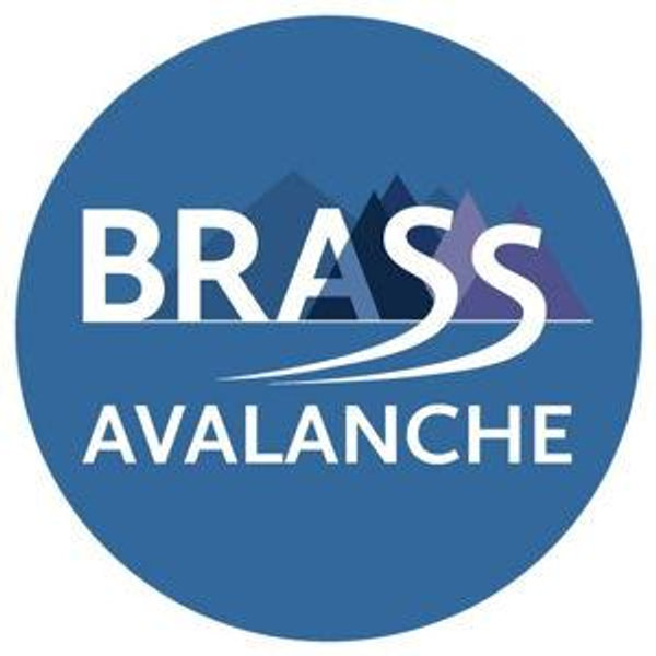 The Bryce and Ronnie Athlete Snow Safety (BRASS) Foundation