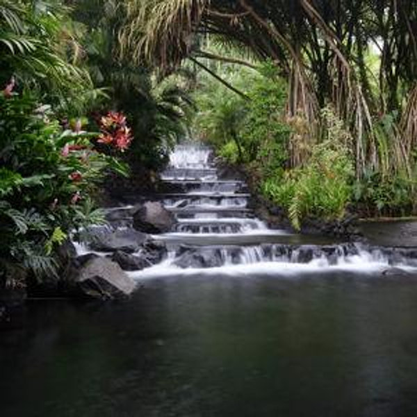 Hot Springs Resort Day