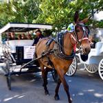 Royal Carriages