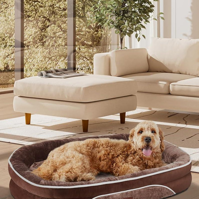 OhGeni Orthopedic Dog Bed Couch for X-Large Sized Pets with Egg Foam Support, Four-Sided Bolster Cushions, Soft Tear-Resistant Fabric, and Removable Machine Washable Plush Cover 42-Inch (Brown)