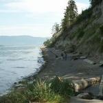 Port Williams Beach