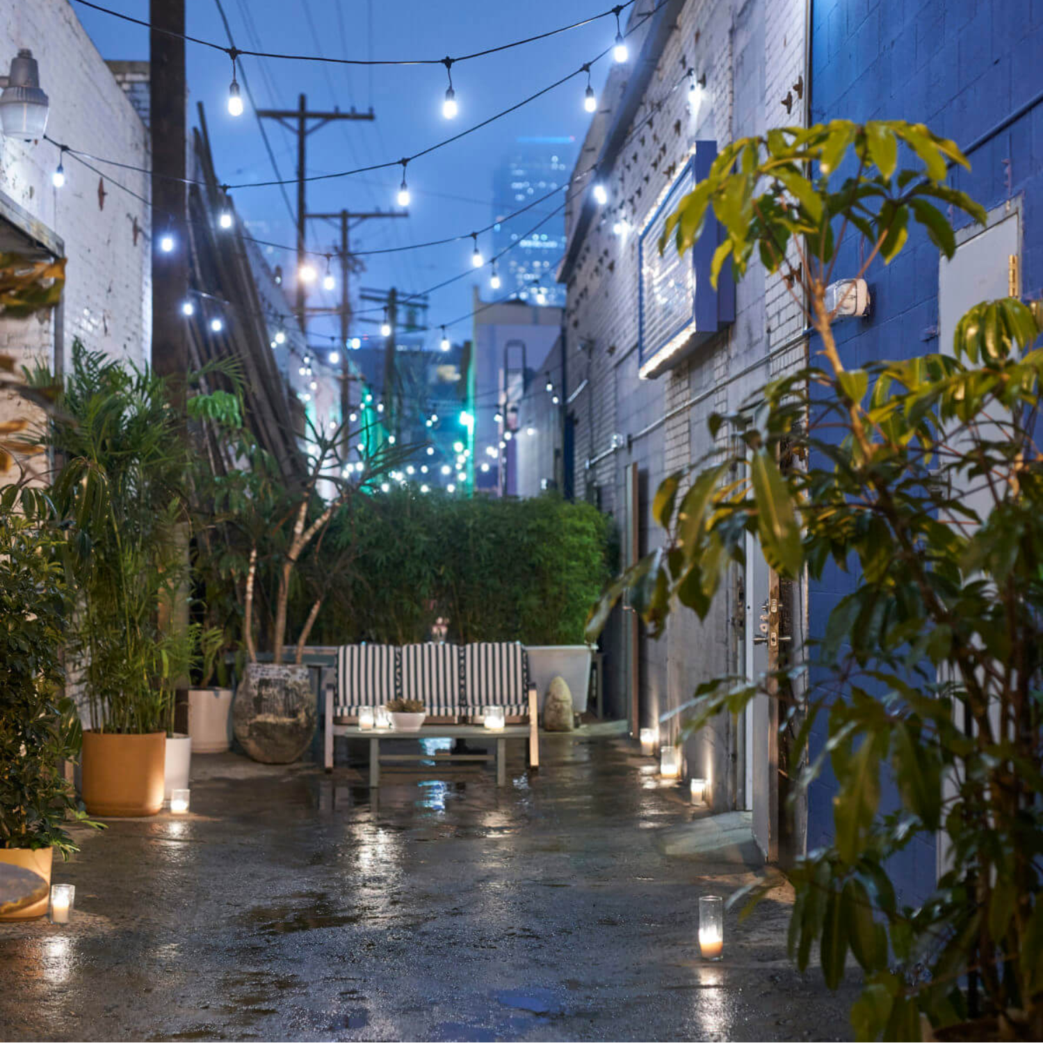 Back Alley Lounge