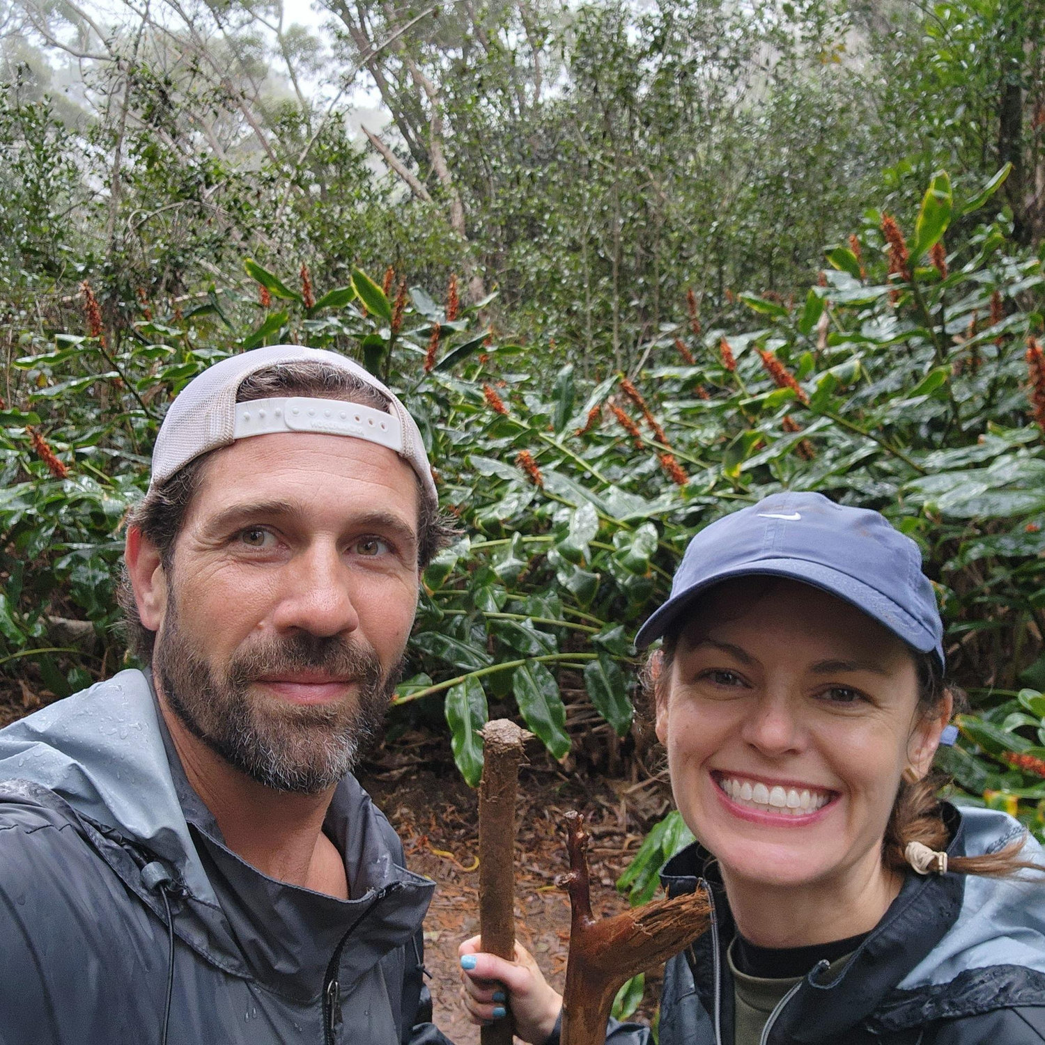 Hiking in Hawaii