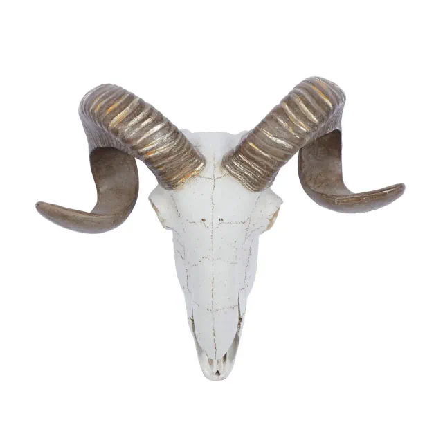Polystone Sheep Skull Wall Decor White - Olivia & May: Faux Ram Hanging Art, Farmhouse Style