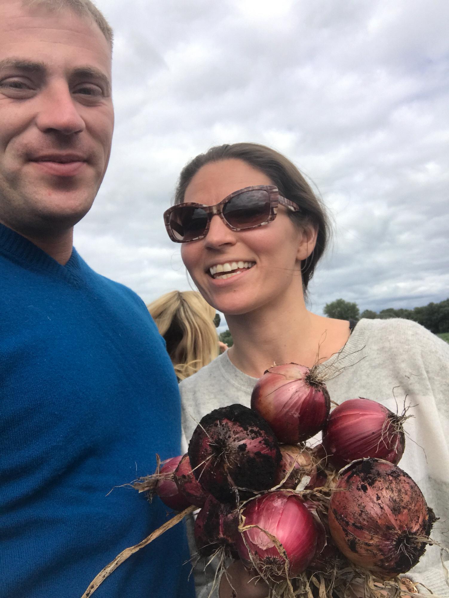 Onion farm!