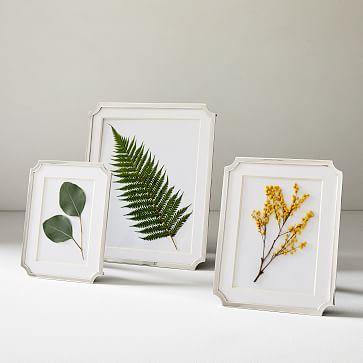 Quatrefoil Metal Frames
