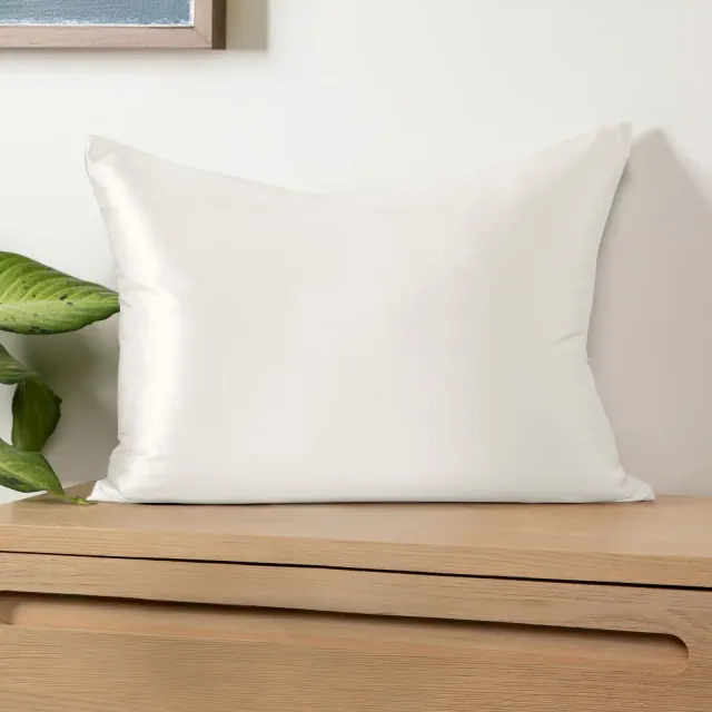Luxurious 100% Silk Zippered Bed Pillowcase For Hair and Skin - 19 Momme - Becky Cameron, Antique White, Standard