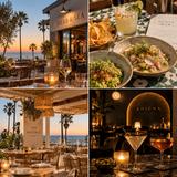 Dinner & Drinks