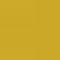 Freesia Yellow
