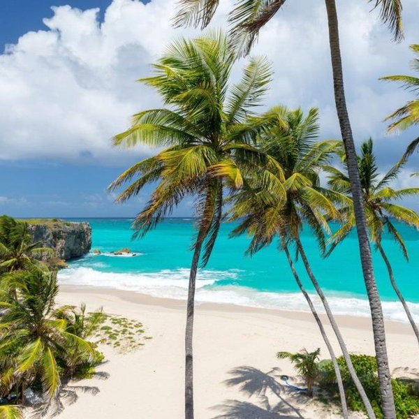 Our Honeymoon Fund 🇧🇧