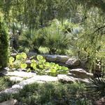 Zilker Botanical Garden