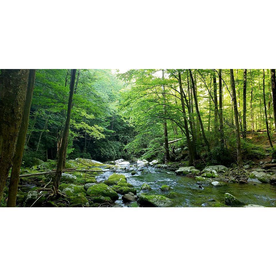 Middle Prong River - Gatlinburg, Tn. We spent days of our trip at this little spot. Walking up and down the river.