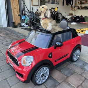 Rental car