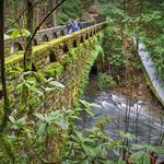 Whatcom Falls Park