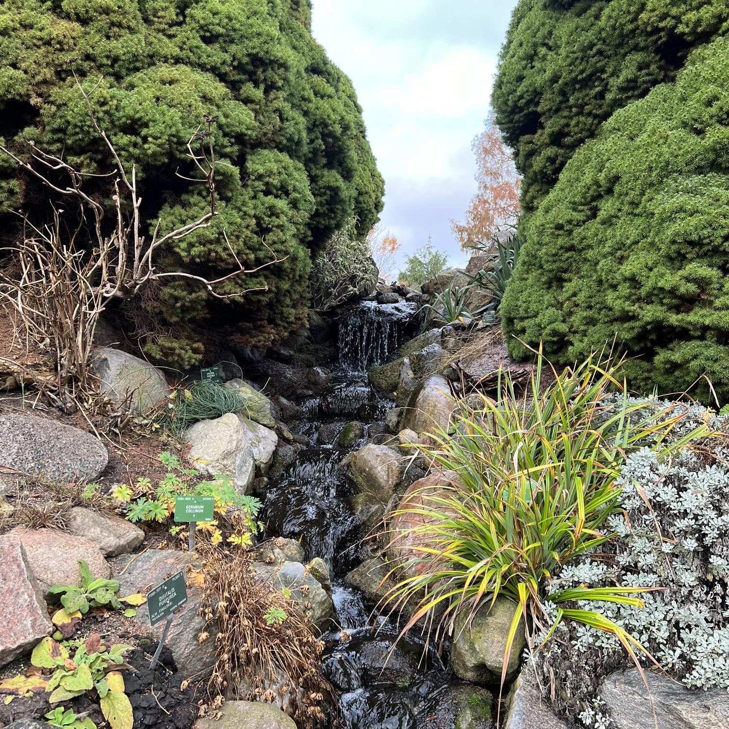 Copenhagen, Denmark: Botanical Garden, where we got engaged 🤍
