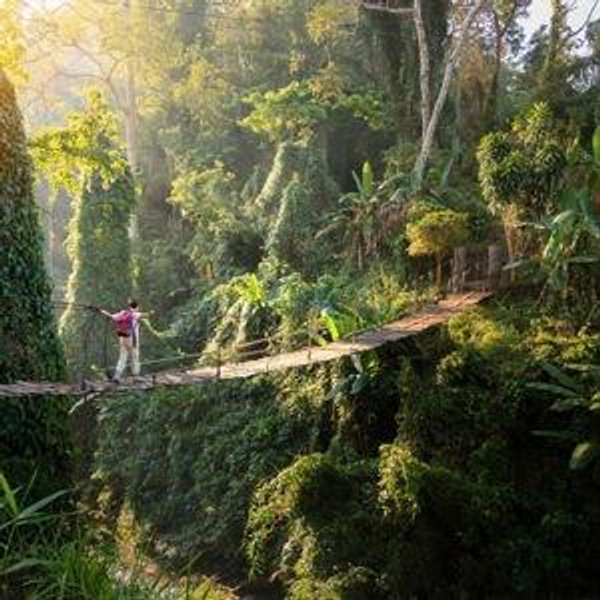 Adventure Fund