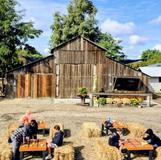 Irwin Acres Pumpkin Farm