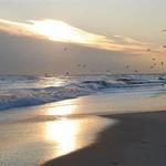 Jones Beach State Park