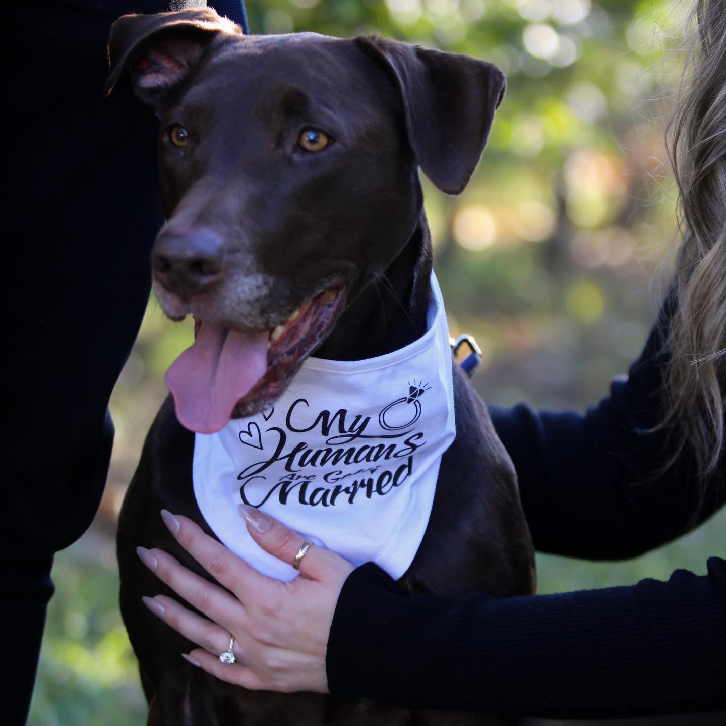 The Wedding Website of Jadin Miller and Michael Luongo